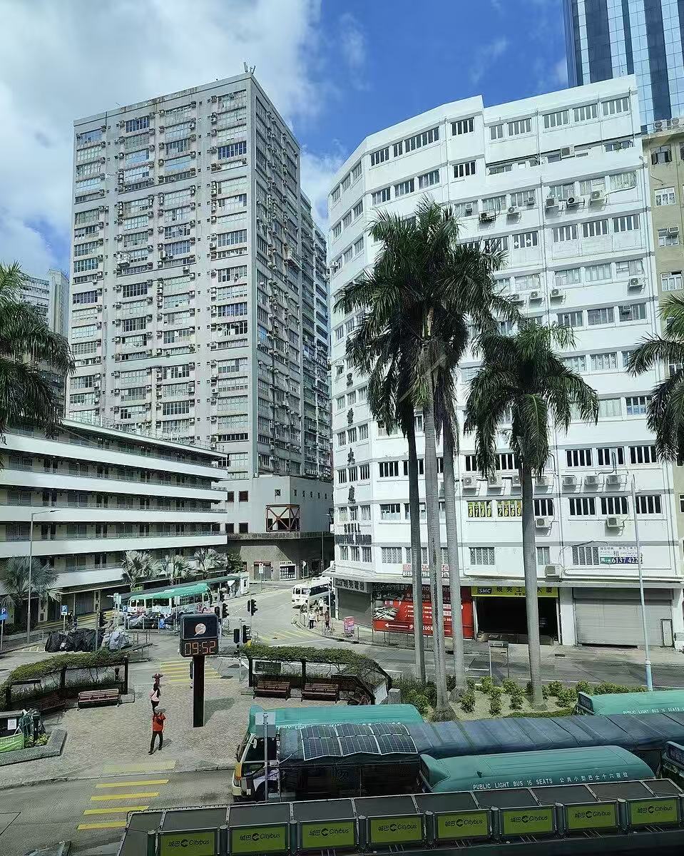 88歲長者登小巴期間意外跌倒　留醫六日後離世！69歲司機涉危險駕駛被捕